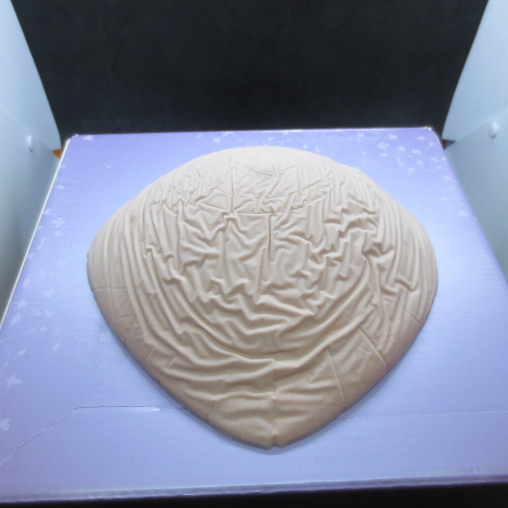 Trulife Triangle Lightweight Prosthetic Mastectomy Breast Form 00904 Size:10